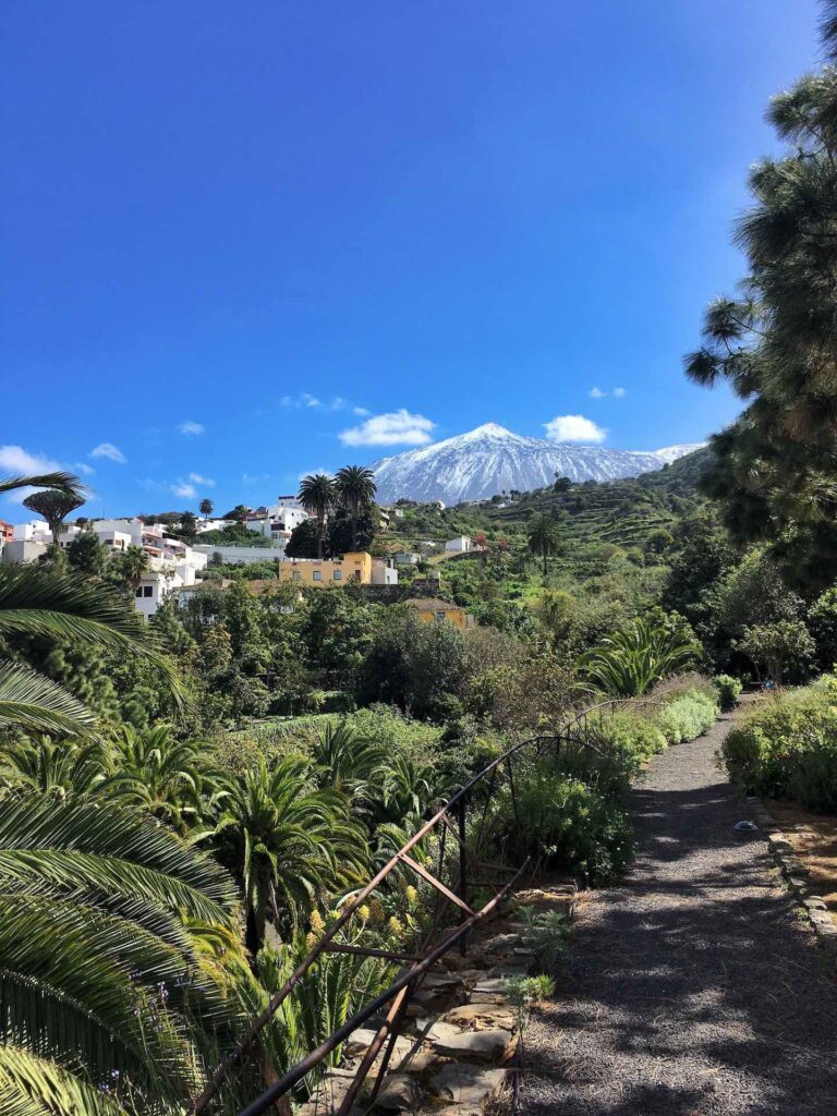 Spain in November: Tenerife still boasts warm weather